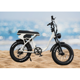 Vélo électrique Fat bike Fiji