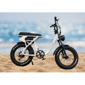 Vélo électrique Fat bike Fiji
