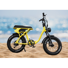 Vélo électrique Fat bike Fiji