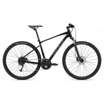 VTC giant Roam Disc 2 - 2022