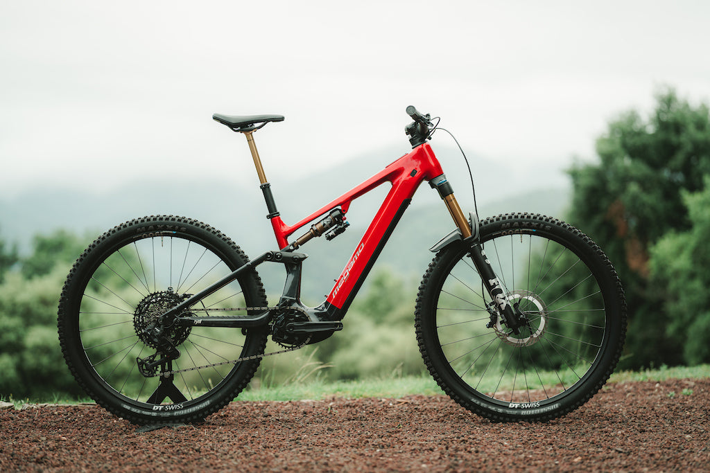 MEGAMO VTT electrique tout suspendu RYAL 10 AVINOX M2 110Nm 800W