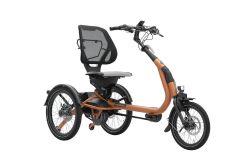 VAN RAAM tricycle Easy Rider Compact silent electric 60Nm 500W